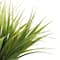 Assorted Wild Grass Bush by Ashland&#xAE;